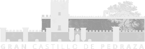 Logo Castillo