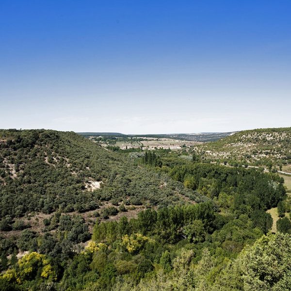 26-EL-TERRENO.jpg