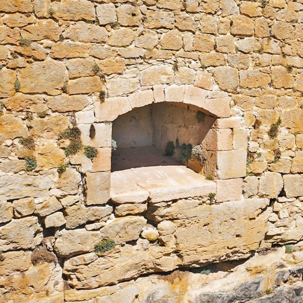 CANONERA.jpg